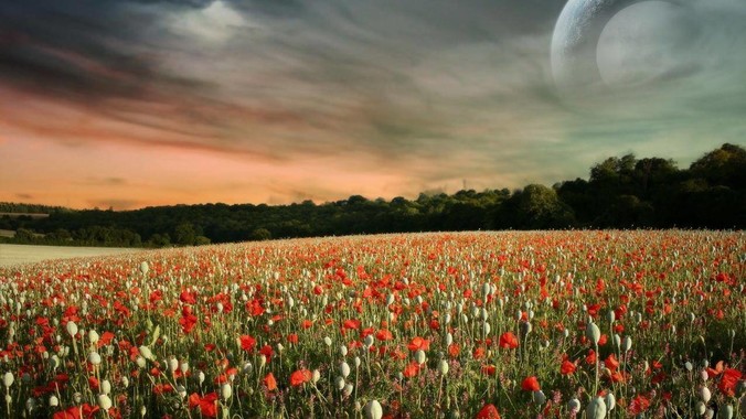 印度公开藏南地区我方战士口咬手雷坚守的***，是想表达什么？